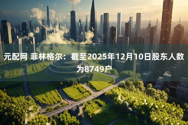 元配网 菲林格尔：截至2025年12月10日股东人数为8749户