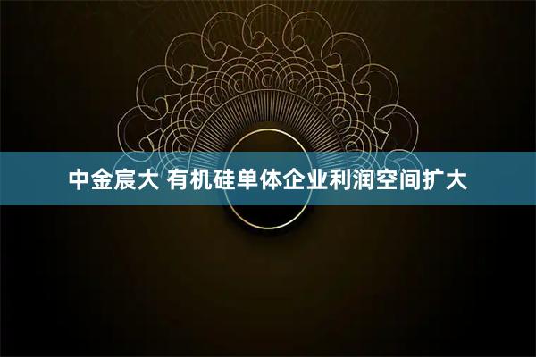 中金宸大 有机硅单体企业利润空间扩大